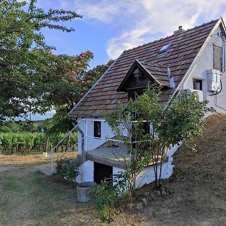 Kishaz A Szolohegyen Apartment Balatonakali Exterior foto